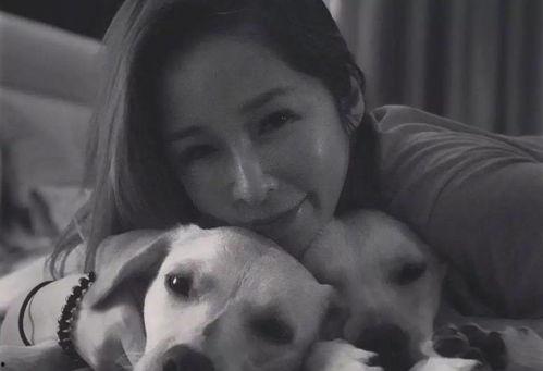 狗咬人最新爆料,最新爆料揭露惊人内幕 第3张 狗咬人最新爆料,最新爆料揭露惊人内幕 第3张